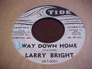 Larry Bright Way Down Home & Bloodhound original white label 45 ex condition