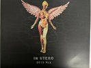 NIRVANA - In Utero [20th Anniversary LP] (US) (2 Vinyl, Nov-2013