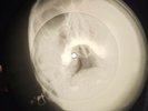Beatles - She Loves You X-RAY BONE OF THE USSR X-RAY RECORDING