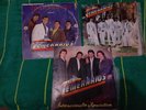 Los Temerarios