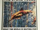 Stone Roses - What the World is Waiting for / Fools Gold 12