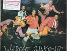 Ray Campi Wildcat Shakeout (Rockabilly LP)