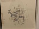 Frightened Rabbit ?– The Midnight Organ Fight - 12” Vinyl LP 10th Anniversary