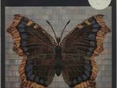 House Of Love The House Of Love vinyl LP album record UK 842293-1 FONTANA 1990