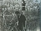 Jesu/Sun Kil Moon Silver Vinyl + Black Splatter LP Limited to 300  Mark Kozelek