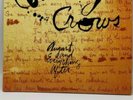 August and Everything After [LP] by Counting Crows (Vinyl, Mar-2017, 2 Discs, G…