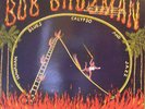 Bob Brozman - Devil's Slide (LP, Album)