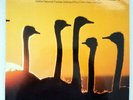 Milt Jackson - Sunflower (LP, Album, Gat)