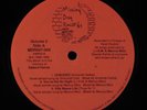 L.I.A.M. & MARCUS MIXX Uhaceeid MISSING DOG 12