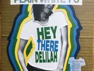 Plain White T's - Hey There Delilah, die-cut gate 7” Vinyl Promo Copy Never Used