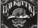 KOTTKE,LEO-6 & 12 STRING GUITAR (US IMPORT) VINYL LP NEW