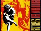 Guns N' Roses Use Your Illusion I 2xLP Album Vinyl Schallplatte 180132