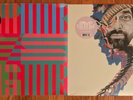 Animal Collective Painting With & Panda Bear Meets Grim Reaper Vinyl New Records