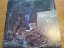 TERRY LEE MAGIC MUSIC Rare Vinyl Record LP 1971 Psychedelic Rock STONE 10722 VG