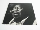 MUDDY WATERS 'MUDDY MISSISSIPPI WATERS LIVE' LP UK BLUE SKY 1979 JOHNNY WINTER