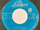 Rockabilly 45 Al Casey She Gotta Shake on Liberty HEAR