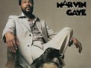 GAYE,MARVIN-TROUBLE MAN VINYL LP NEW