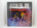 HUSKER DU Candy Apple Grey WARNER BROS LP POST PUNK RECORD ALBUM 1-25385