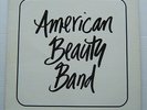 PRIVATE AOR FEMALE  FRONTED  HARD ROCK LP AMERICAN BEAUTY BAND OHIO 1982
