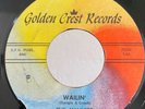 Garage Rockabilly Instro 45 The Wailers Wailin on Golden Crest HEAR
