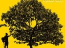 Jack Johnson - In Between Dreams (LP Vinyl) sealed