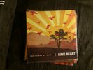 Have Heart The Things We Carry Vinyl LP SXE Bane Mindset HXE