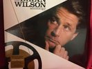 Playback The Brian Wilson Anthology 12