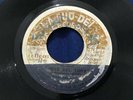THE FABULOUS SHOEMAKE / BYE BYE LOVE & I-ROY/VALLEY OF THE DOLLS ROCKSTEADY 45