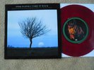 Pink Floyd  - Take It Back -  1994 UK RED VINYL Picture Sleeve PS 7