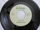 Hear MICHIGAN GARAGE SURF Wildwood Playboys WILDLIFE Prophonics #5022 VG++