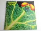 Catapilla - Changes LP  First UK Press  MONSTER RARE  VERTIGO  Mat. 1Y/2Y  PROG