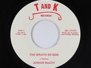 Hillbilly Gospel Bopper 45 - Junior McCoy - The Wrath Of God - T&K - VG+ mp3