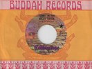VG+ Funk 45 PROMO - BILLY DAVIS - Stanky (Get Funky) / I've Tried BUDDAH LISTEN