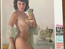 ADAM STAG PARTY 2 Vintage Nude Cheesecake Cover.  LP. RARE   Mint
