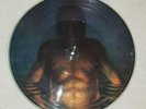 Cesaro Summability Vinyl Record LP Tool rare picture promo limited