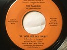 The Passions - If You See My Baby - Rare Soul - EnVirtue 45