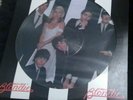 Blondie Parallel Lines Picture Disc Album Sleeve and Vinyl 1978