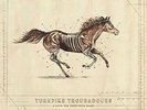 Turnpike Troubadours - Long Way From Your Heart (Vinyl Used Very Good)
