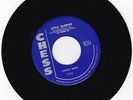 CHUCK BERRY 45 rpm record LITTLE QUEENIE