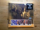 2 Pac 2Pacalypse Now NEW SEALED 2 x Vinyl LP Record Album 2016 Reissue