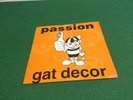 gat decor  7” Vinyl A Side passion (naked mix Edit) B Side (d.emerson mix edit)