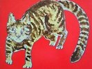 Yasuaki Shimizu - Kakashi LP NEW