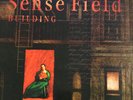 Sense Field - Building ORIGINAL 1996 VINYL PRESSING POST-HARDCORE EMO INDIE ROCK