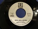 THE M.H. ROYALS  Now she's crying  ABC 10957 Org 1967 GARAGE FUZZ 45 PROMO