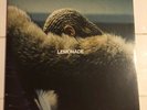 Beyonce - Lemonade [VINYL] Yellow 12” Record