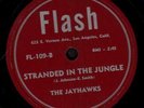 78-DOO-WOP-JAYHAWKS-STRANDED IN THE JUNGLE/MY ONLY DARLING on FLASH-ORIGINAL-E-
