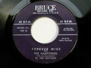THE HARPTONES Shytans - Forever Mine / Why should I love you BRUCE doowop 45