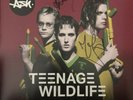 *SIGNED* ASH - Teenage Wildlife Greatest Hits 25 Years Of Ash Double Vinyl LP