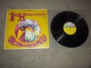 Jimi Hendrix Experience ARE YOU EXPERIENCED Debut Album Vinyl LP