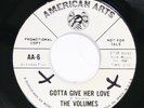 PROMO COPY The Volumes AMERICAN ARTS AA-6 M- SOUL NORTHERN SOUL 45